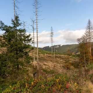 Landschaft im Krenkeltal