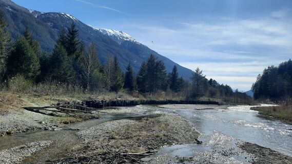 Photo de Michaela Markt le long du parcours