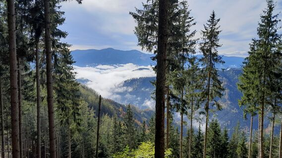 Fotografia z Michael T 3 na trase