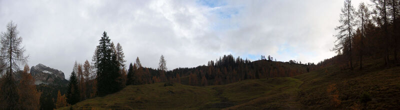 Frommerniederalm