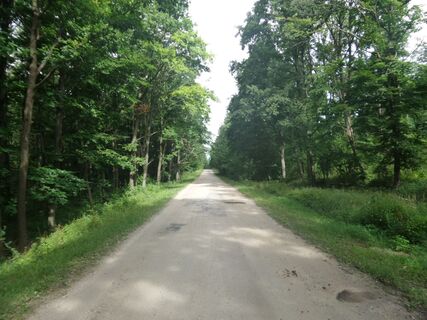 Forststrasse *Büdöskuti-ut*