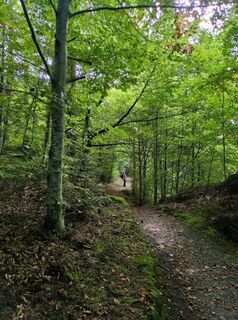 Photo de Malofe le long du parcours