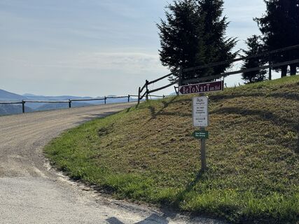 4_Wegweiser_grüner Pfeil.JPG