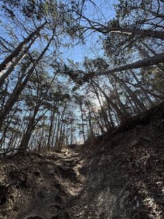 Foto de RS76 a lo largo del recorrido