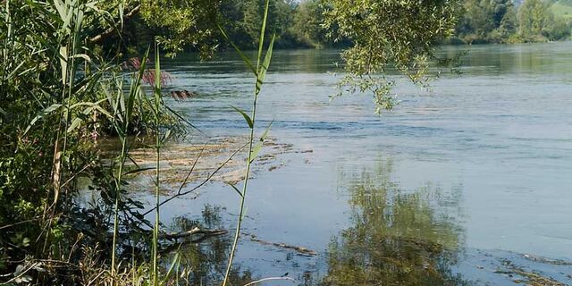 Auenlandschaft Rohr