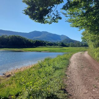 Mountainbike-Runde 5: Lac d'Armaille