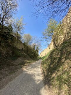 Photo de Attila Mihalcz le long du parcours