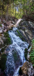Fotografija s spletne strani ReginaSt na poti