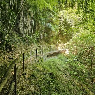 Fotografija s spletne strani Peter Hugi na poti