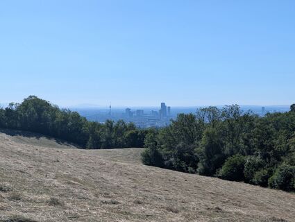 Foto von HOJ_09 entlang der Tour