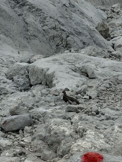 Photo de Lev Neuimin le long du parcours