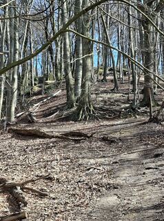 Fotografie z Yolanda de na trase