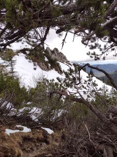 Fotografia z Steffen Weibrecht na trase