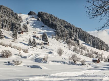 Waltensburger Runde ab Breil-vitg Winterwanderung Landschaft