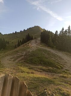 Foto da Benjamin Barnsteiner lungo il tour