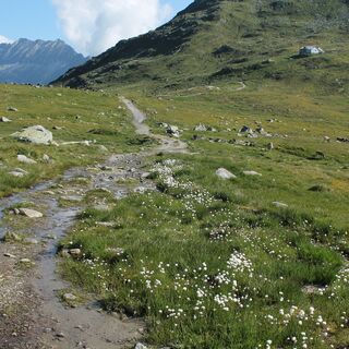 Maighelshütte