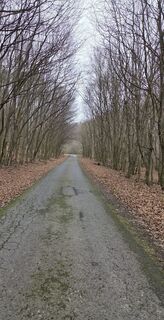 Foto von János Zsolt Mahr entlang der Tour