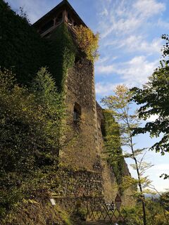 Photo de Peter Bacher le long du parcours