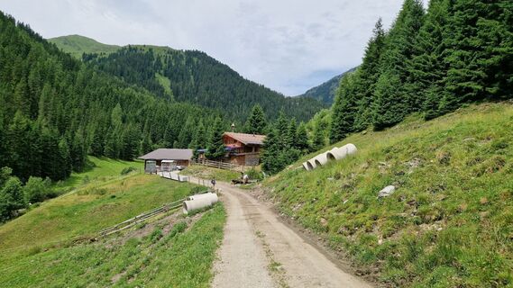 Fotografia z Gerrit van der Linde na trase