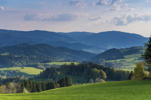 Landschaft bei St Peter Blick vom Kapfenberg
