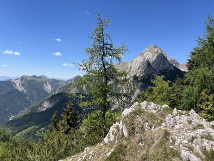 Photo de Miczur le long du parcours