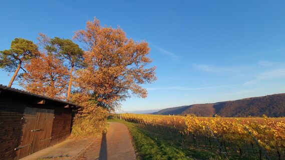 Foto von Jürgen Dubbert entlang der Tour