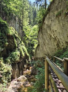 Foto von Padole entlang der Tour