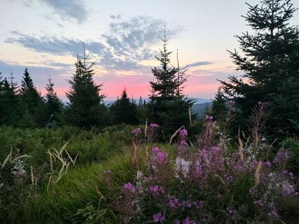 Ankunft am Kamm zwischen Dreisessel und Hochstein