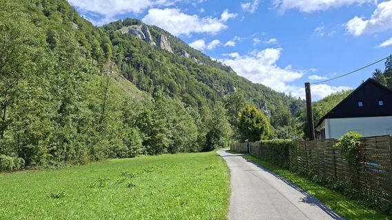 Fotografija s spletne strani args na poti