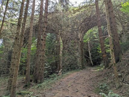 Photo de Martina Braunstein-Lamatsch le long du parcours