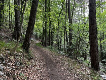 Photo de Stefano “Iddo” le long du parcours
