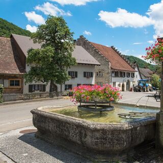 Merishausen