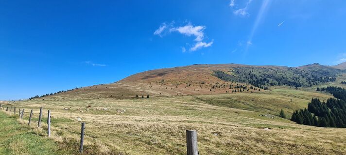 Foto von Monika Röska entlang der Tour