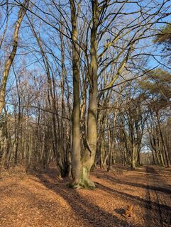 Fotografia z Matje Derks na trase