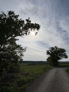 Foto von RS76 entlang der Tour