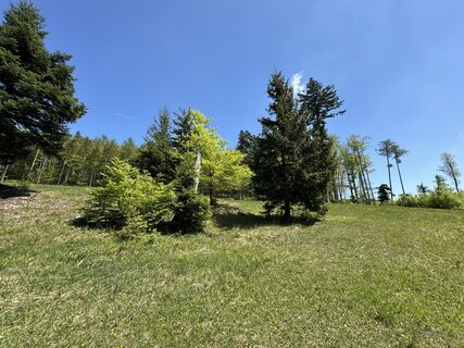Foto von Gerhard Piglmann entlang der Tour