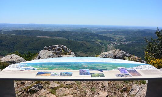 OENORANDO VISSOU 5 @ Gilles Delerue