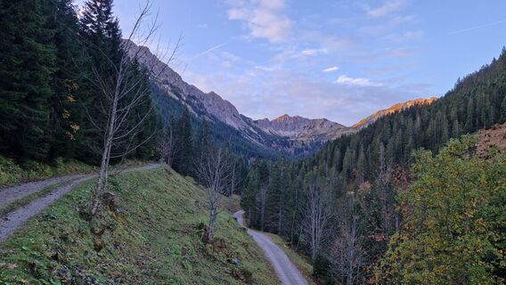 Weggabelung Edenalpe / Gränder Ödenalpe