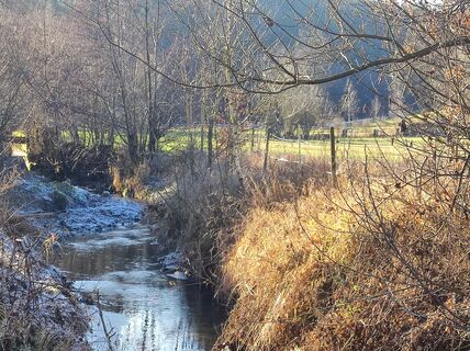 Fotografija s spletne strani Bairebike na poti