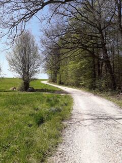 Entlang Rundwanderweg 13