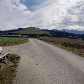 Weißn Trail - Nußbach