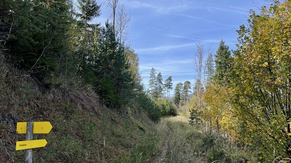 Photo de Brge68 le long du parcours