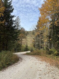 Photo de Heinz Sperl le long du parcours