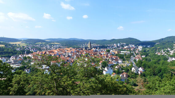 Altstadt Bad Wildungen von Schloss Friedrichstein
