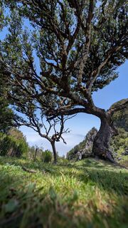 Photo de Evah Deedee le long du parcours