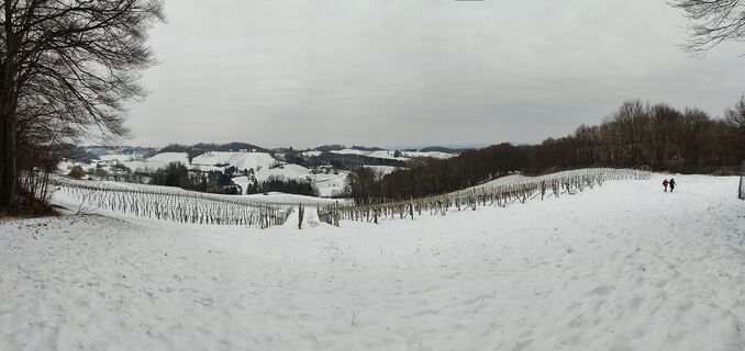 Zdjęcie z Lena Eder wzdłuż trasy