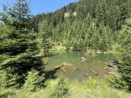 Foto de Andi72U a lo largo del recorrido