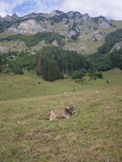 Foto von Katona Ferk Mariann entlang der Tour