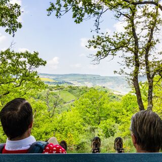 Willi und Ernst auf dem Traumschleifchen Pfalzblick am Schönburgblick