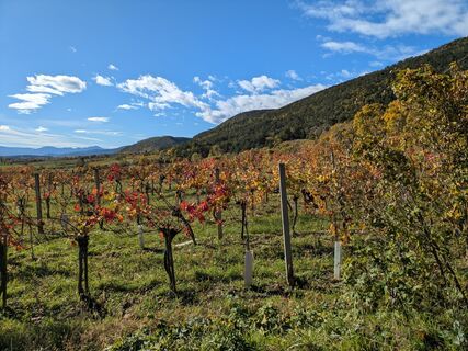 Foto von Edero entlang der Tour
